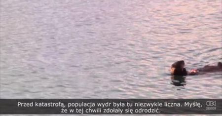Nieustające skutki wycieku ropy naftowej z tankowca Exxon Valdez