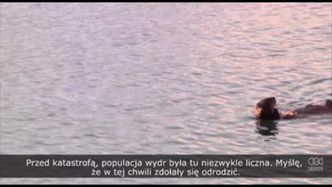 Nieustające skutki wycieku ropy naftowej z tankowca Exxon Valdez
