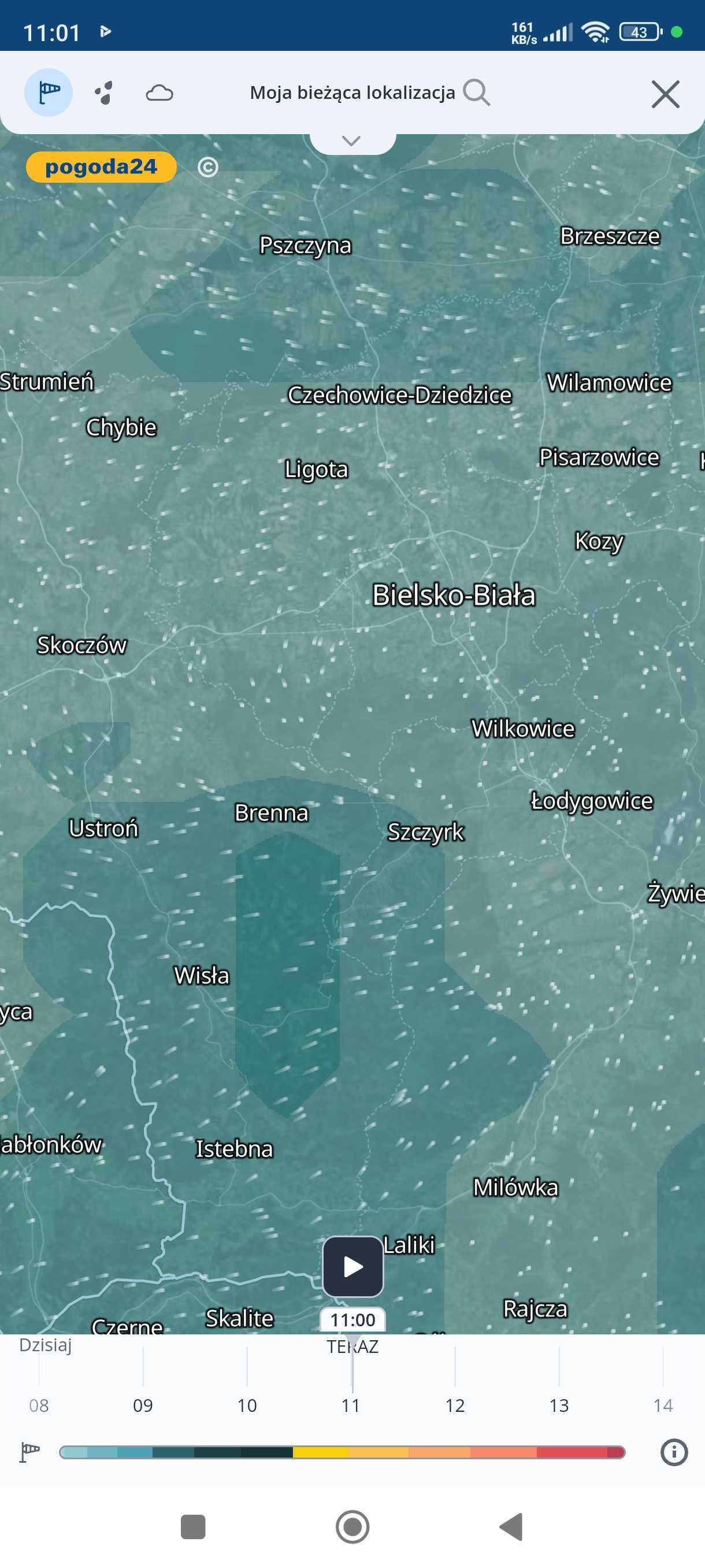 pogoda24
