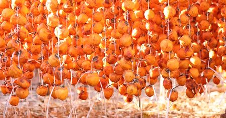 Owoc z "drzewa siedmiu cnót". Ratuje układ krążenia, obniża cholesterol