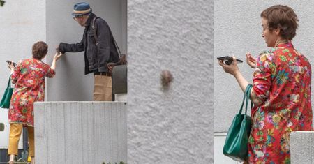 Zbigniew Zamachowski i Gabriela Muskała RATUJĄ ŚLIMAKA. Czy to już pora na wspólne zwierzątko? (ZDJĘCIA)
