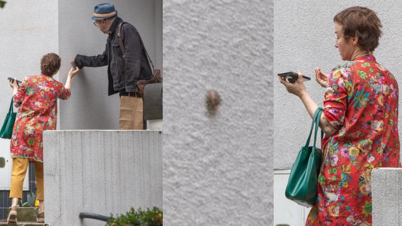 Gabriela Muskała i Zbigniew Zamachowski ratują ślimaka