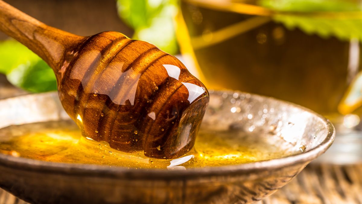 Tupelo – miód inny niż wszystkie. Co w nim jest wyjątkowego?