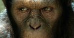 ''Dawn of the Planet of the Apes'': Małpy wrócą za dwa lata