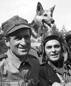 Nie tylko Niemcy kupili "Czterech pancernych". TVP zarobiła miliony