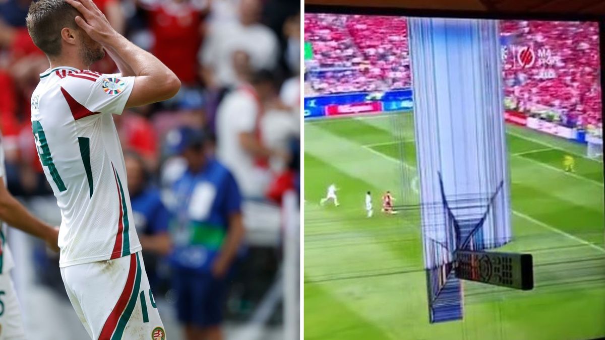 Getty Images / Jeroen van den Berg/Soccrates/Getty Images/Twitter / na zdjęciu od lewej: reprezentant Węgier Barnabas Varga i reakcja kibica na przegraną ze Szwajcarią