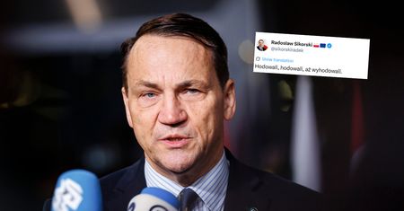 Partia Brauna wyprzedziła Konfederację. Wymowny wpis Sikorskiego