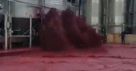 Awaria w winiarni. Film ma prawie 10 mln wyświetleń