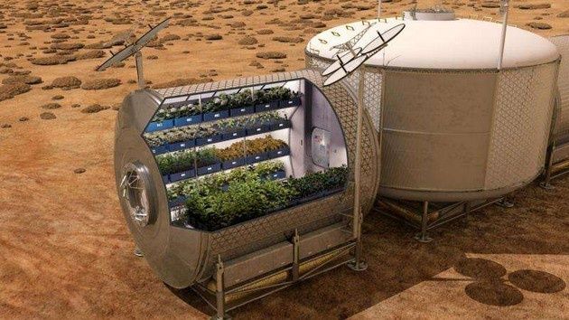 ISS sałata Veg