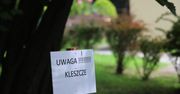 Kleszcze atakują. Zaszczep się, zanim zachorujesz. Coraz więcej przypadków kleszczowego zapalenia mózgu. Żniwo zbiera też borelioza