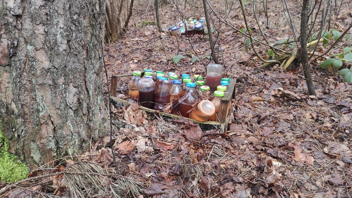 Szok. Ktoś podrzucił słoiki do lasu. 