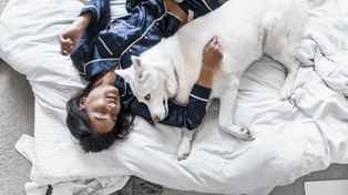 Psy dla alergika. Takie są najlepsze rasy psów dla osób z alergią - zobacz zdjęcia i listę