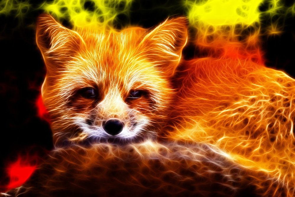 Co usunęlibyście z Firefoksa, aby przeglądarka stała się lepsza?