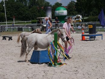 Tłumy na Family Day na Partynicach! Emocje na torze, pokaz horse agility i strefy zabawy dla dzieci