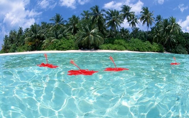 Zbiór tapet "plażowych" na lepsze samopoczucie 9