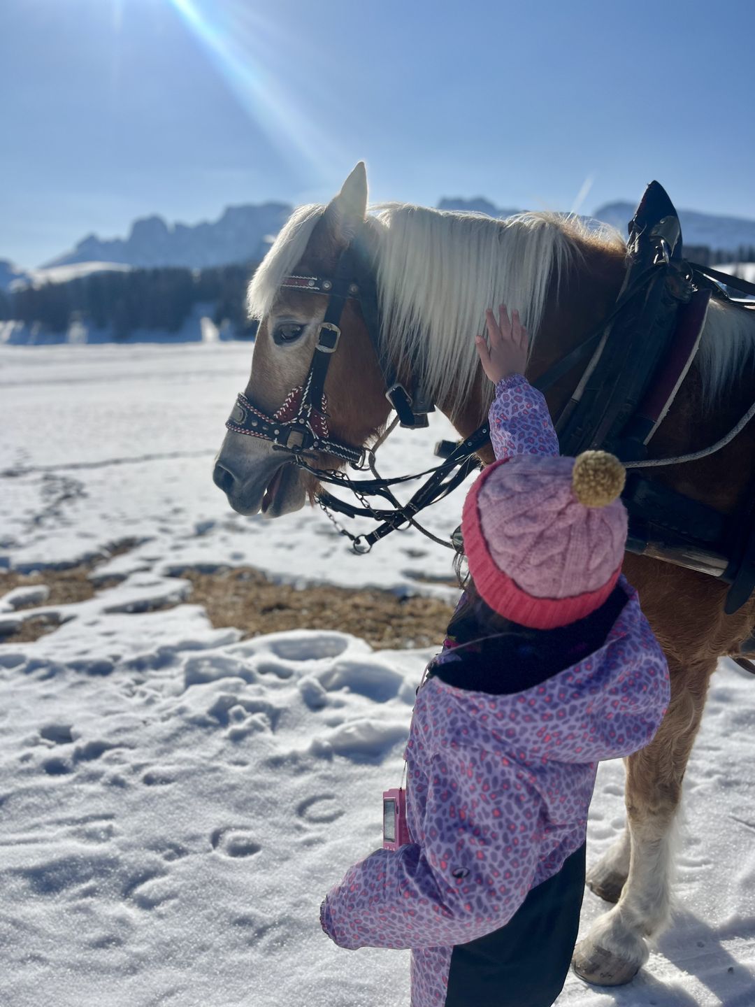 Alpe di Siusi to prawdziwy zimowy raj