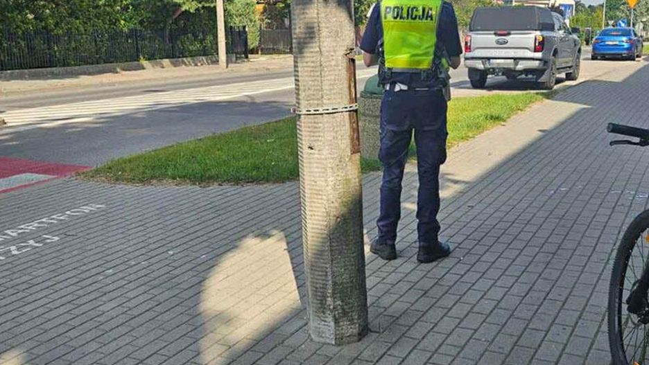 Fot. Licencjodawca