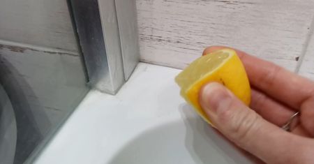 Cytryna. Do czego można ją wykorzystać?