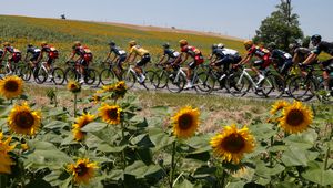 Rafał Majka ósmy na ósmym etapie Tour de France, Lilian Calmejane zwyciężył