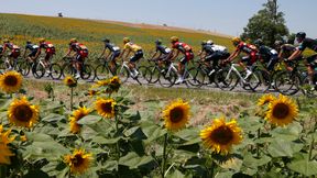 Rafał Majka ósmy na ósmym etapie Tour de France, Lilian Calmejane zwyciężył