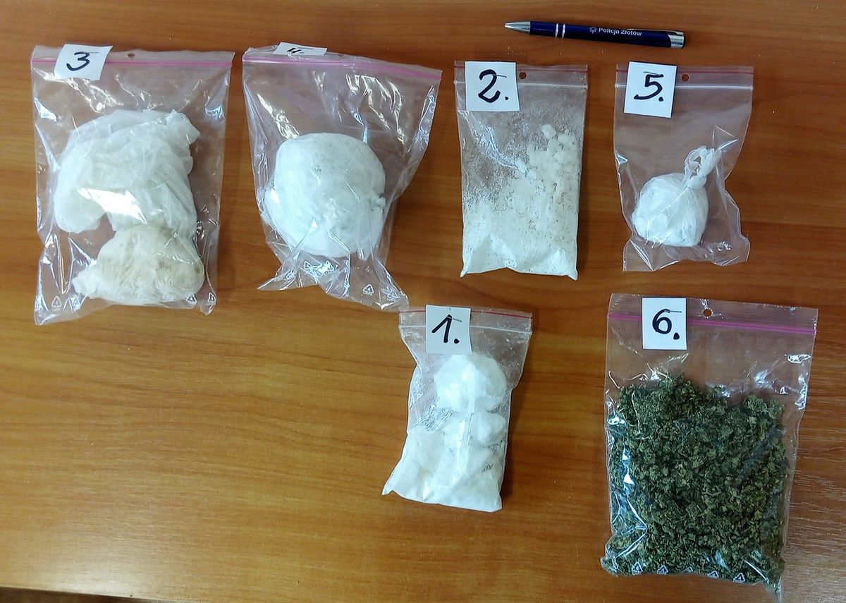 Pół kilograma narkotyków w garażu