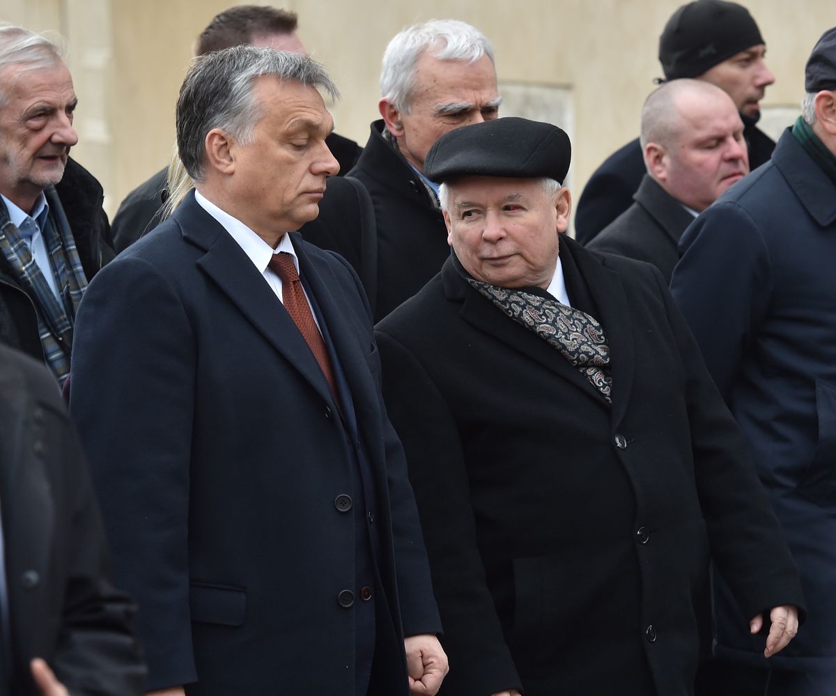 Orban i Kaczyński razem w Krakowie - po wyjściu z krypty pod Wieżą Srebrnych Dzwonów na Wawelu