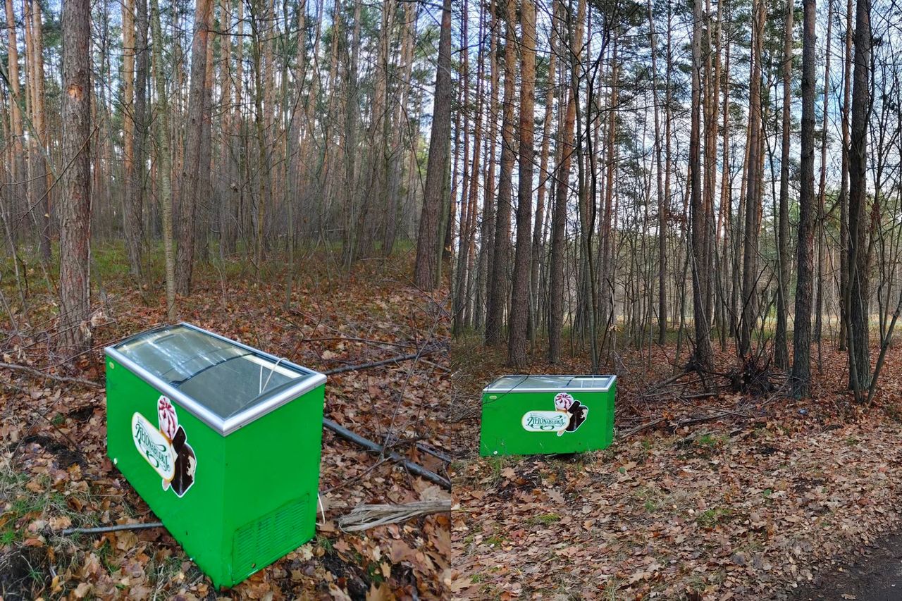 Oto co znaleziono w lesie. "Zapraszamy zapominalskiego właściciela"