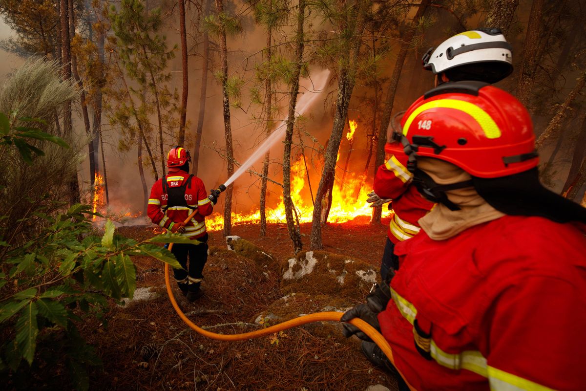 Portugalia. Strażacy okazali się podpalaczami