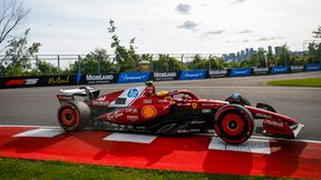 Hamilton załamany po wyścigu F1. Wjechał w zwierzę na torze