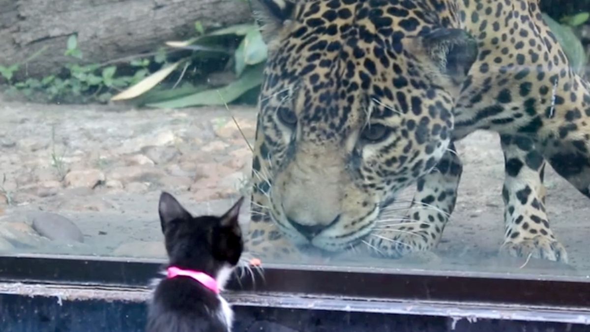 Nietypowa wizyta w zoo