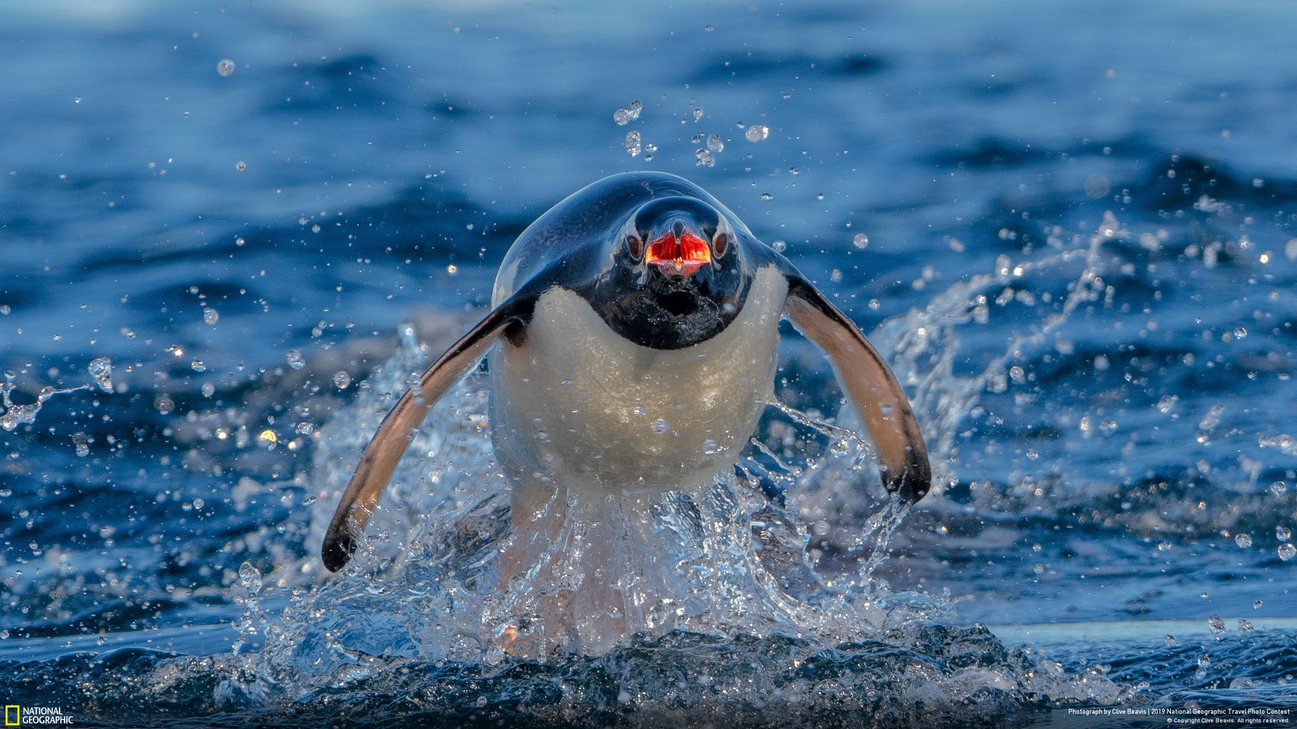 Niesamowite zdjęcia finalistów National Geographic Travel Contest 2019 7