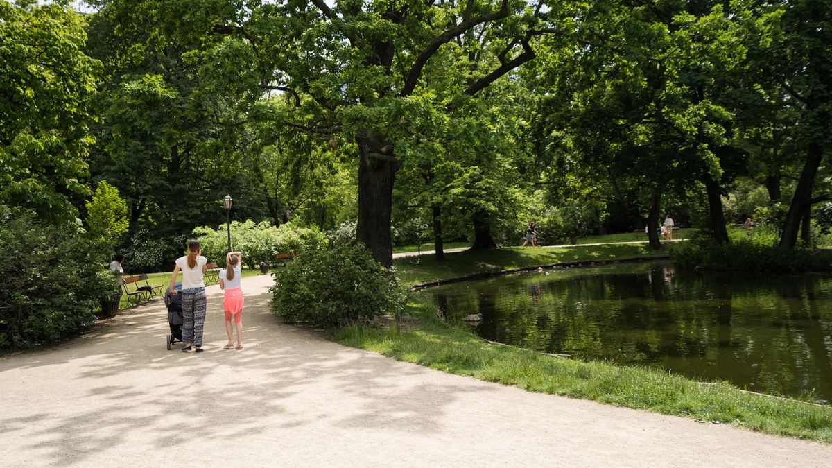 park spacer rodzina dziecko matka ludzie drzewa zieleń 