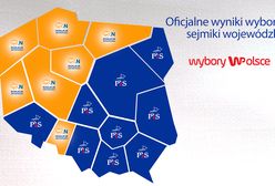 Wyniki wyborów samorządowych 2018. PKW podała ostateczne dane