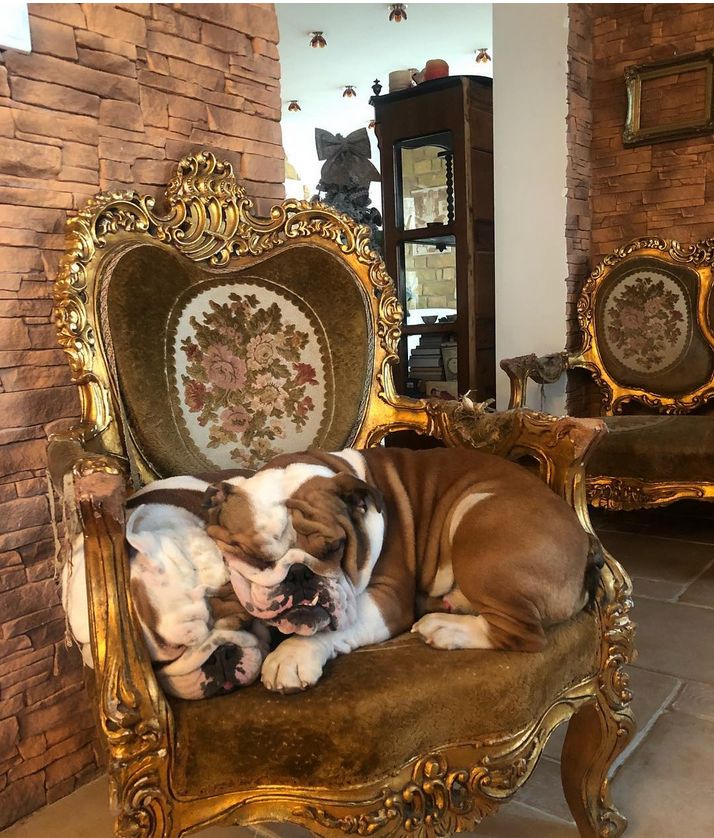 Tak mieszka Dagmara Kaźmierska