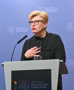 Litwa wyśle żołnierzy do Ukrainy? Premier ujawniła