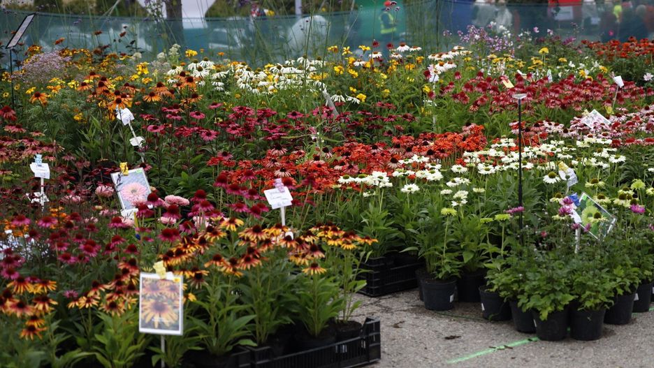 Stoiska ogrodnicze pełne inspiracji dla domu i ogrodu