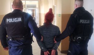 Wyrzuciła kota przez okno. Zwierzak nie przeżył