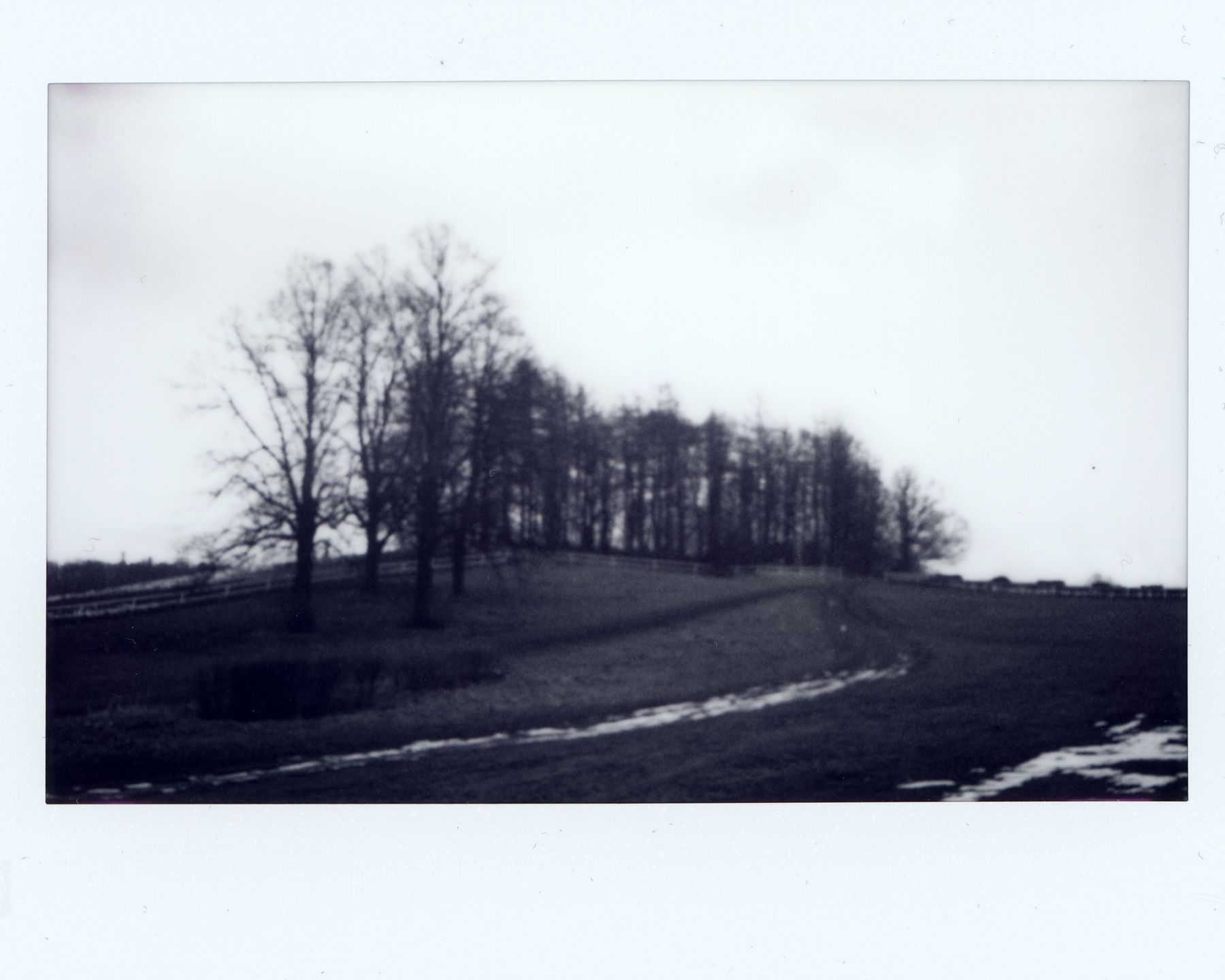 Fujifilm instax wide Monochrome – natychmiastowa czarnobiel w większym formacie 5
