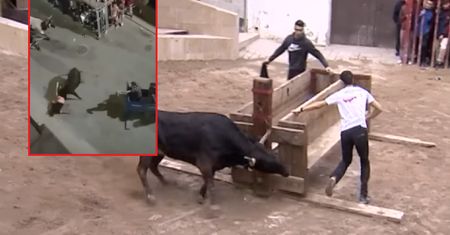 Krwawa tradycja. Trzech mężczyzn nie żyje po gonitwie byków