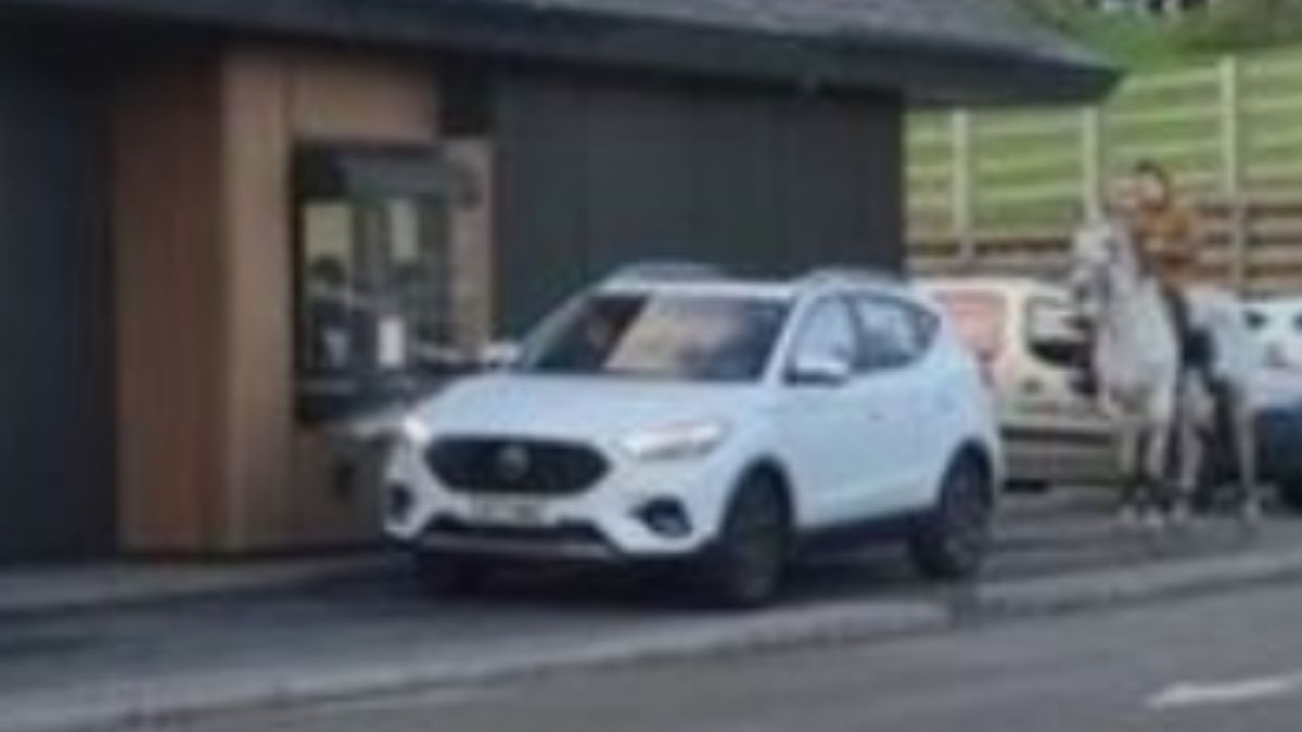 mcdonald drive-through drive-thru koń