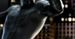 ''Venom'' w rękach scenarzysty ''Na skraju jutra''