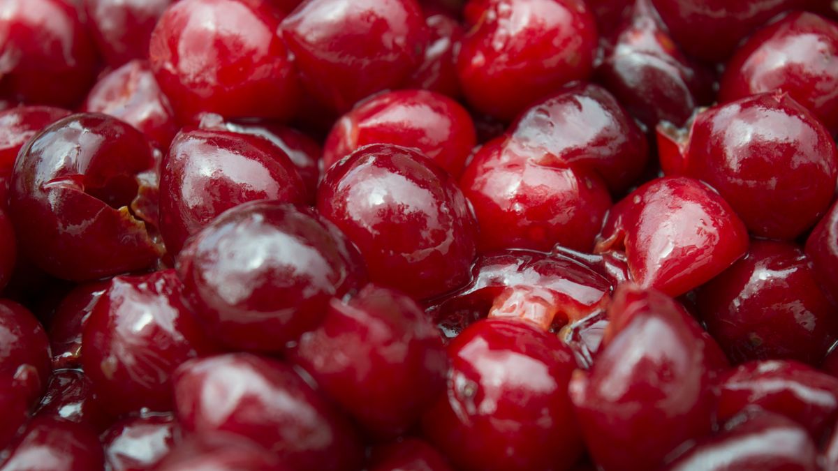 Poradnik, jak drylować wiśnie