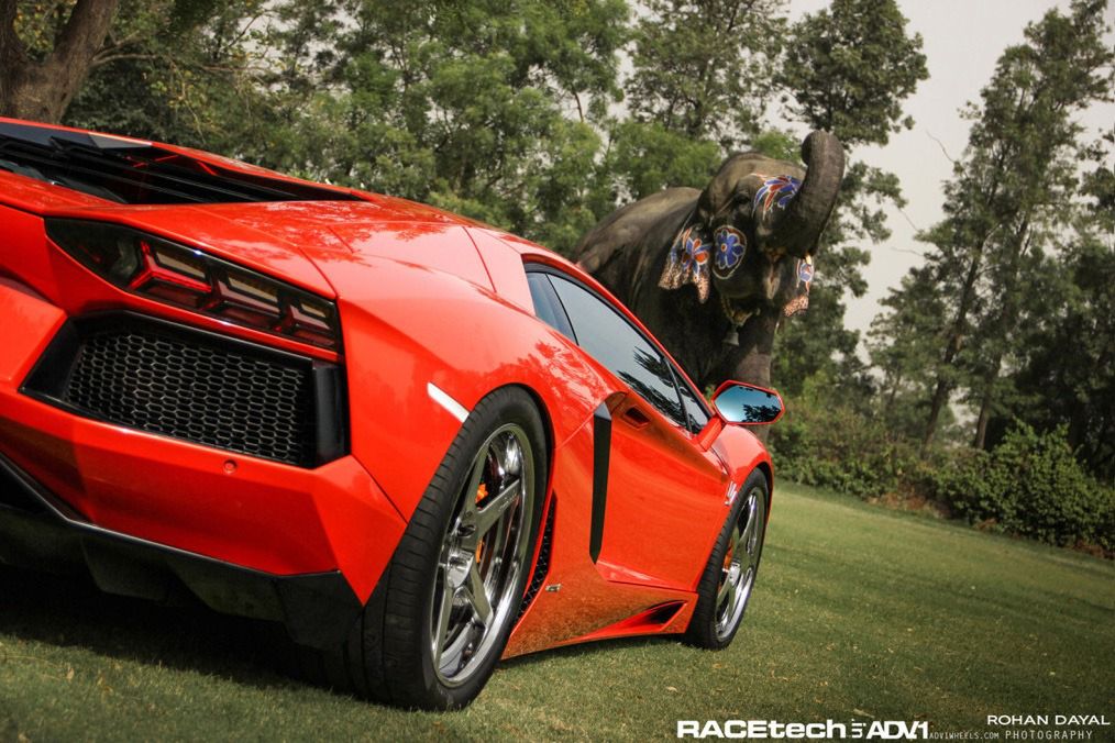 Lamborghini Aventador, felgi ADV.1 i słoń - niecodzienna sesja zdjęciowa [galeria] 21