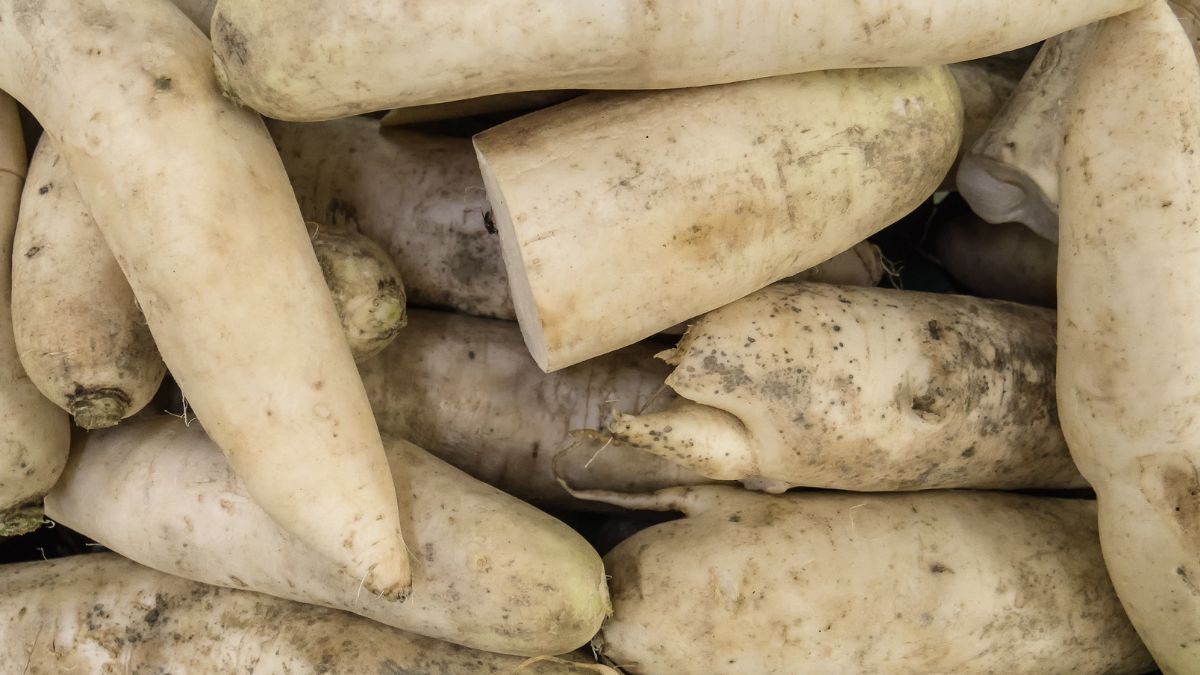 Daikon - samo zdrowie prosto z Japonii