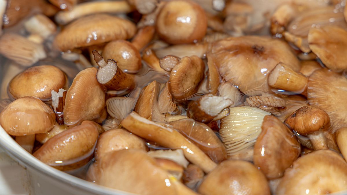 Grzyby bez zalewy do słoików przygotujesz w kilka chwil