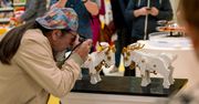 Wspomnienie dzieciństwa czy sposób na relaks? Poznaniacy coraz częściej fascynują się… klockami Lego