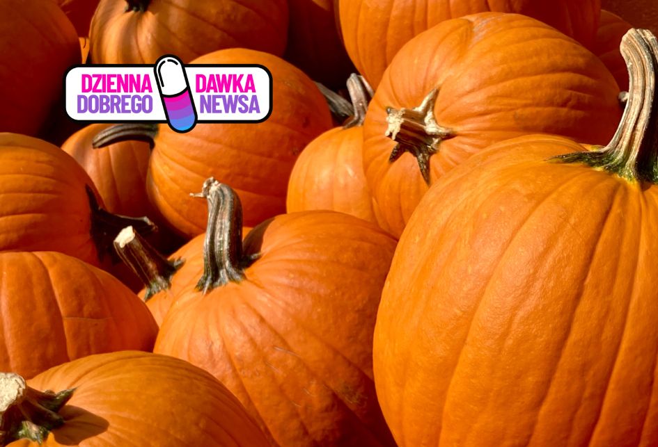 Ostrowianin znów najlepszy. Mistrz carvingu triumfuje w Pradze