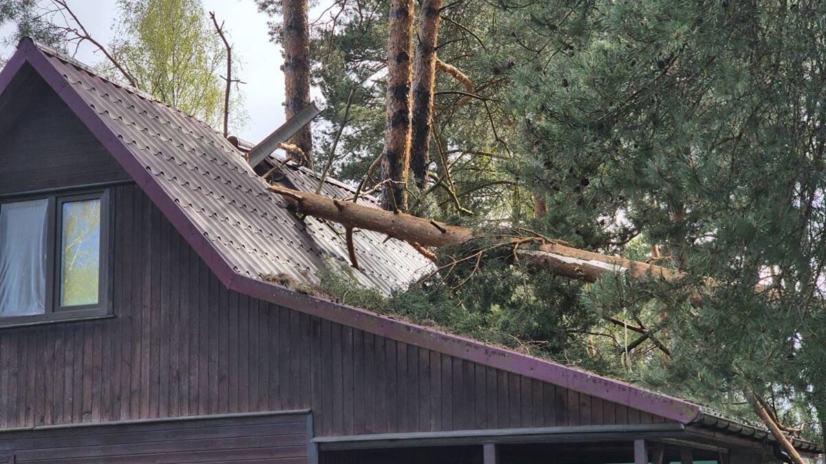 Konar uszkodził dach domu