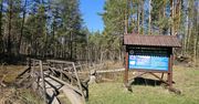 Stąporków: Rezerwat zamyka pomosty. Decyzja do odwołania