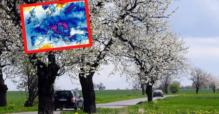 -20 i śnieżyce. Najnowsze prognozy mówią też o przyjściu wiosny